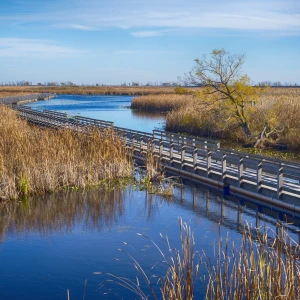 Beautiful scenic view of Point Pelee National Park