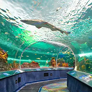 Marine Wonders at Ripley