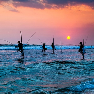 Beautiful landscape view of lush greenery in Sri Lanka