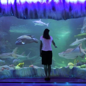 Sea Life Sydney Aquarium