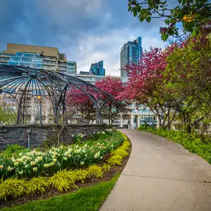 Toronto Music Garden