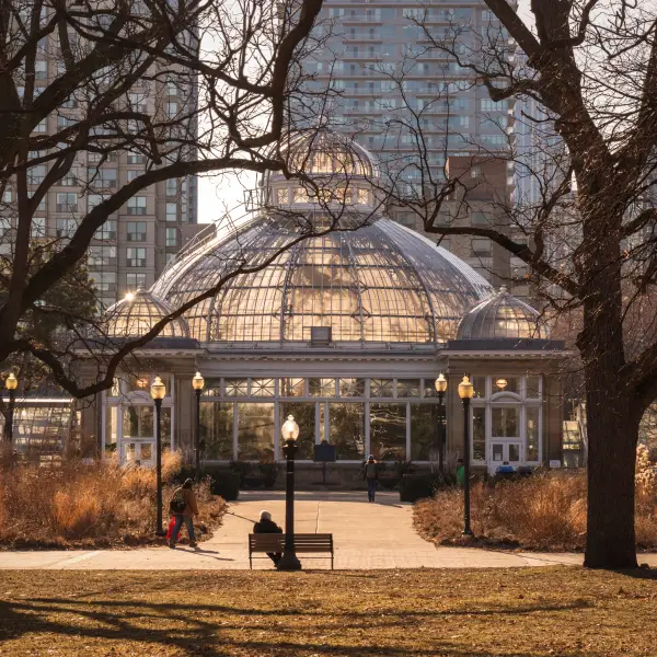 Botanical Beauty at Allan Gardens Conservatory