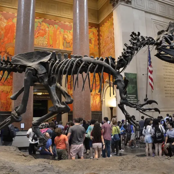 American Museum of Natural History - interior view with exhibits and visitors exploring the vast collections related to nature, science, and human cultures.