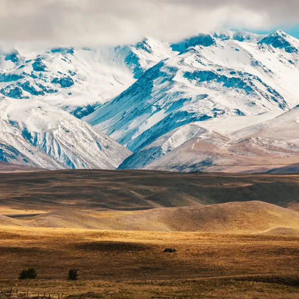 Scenic view of Aoraki Mount Cook National Park with snow-capped peaks and lush greenery