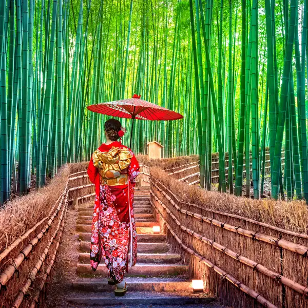 Woman in a traditional red kimono with a parasol walking through the lush green Arashiyama Bamboo Grove in Kyoto, Japan, along a scenic stone path lined with bamboo railings.