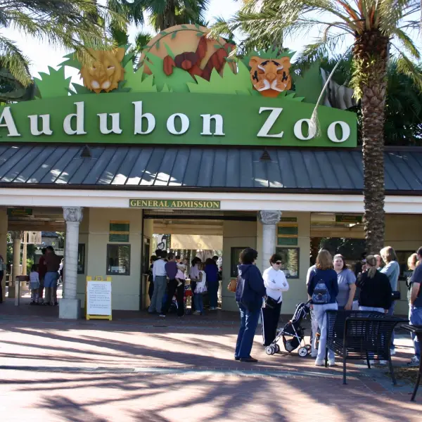 Explore the Audubon Zoo: Discover Wildlife in the Heart of New Orleans