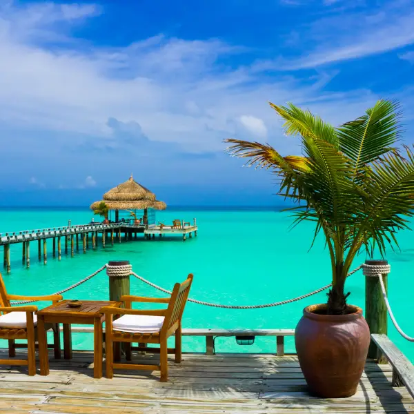 Visit the Maldives: A Tropical Paradise