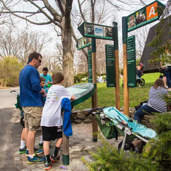 Various animals and visitors enjoying a sunny day at the popular Bronx Zoo in New York City