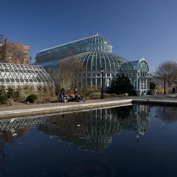 Spring Blooms at The Brooklyn Botanic Garden