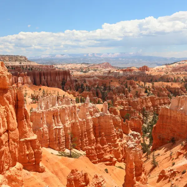 Scenic view of the stunning red rock formations in Bryce Canyon National Park, Utah