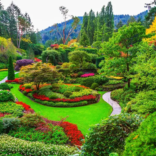 butchart-gardens