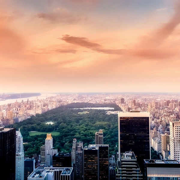 Scenic view of Central Park with lush greenery, walking paths, and city skyline in the background