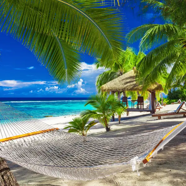 Scenic view of the Cook Islands, showing pristine beaches and lush green landscapes