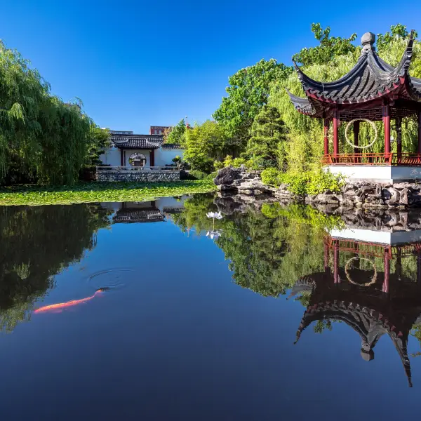 Tranquil Walks in Dr. Sun Yat-Sen Classical Chinese Garden