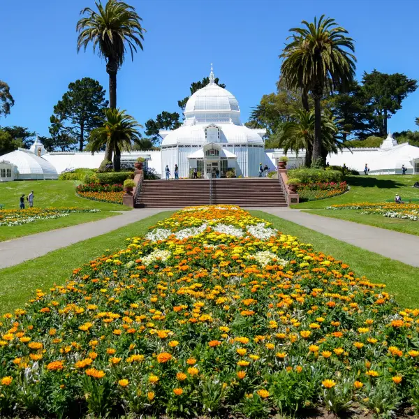 Golden Gate Park with lush greenery and beautiful landscape