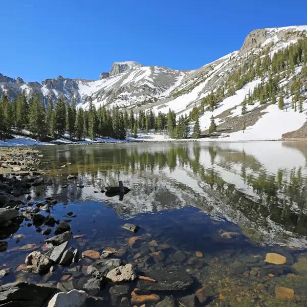 Starry Nights at Great Basin National Park
