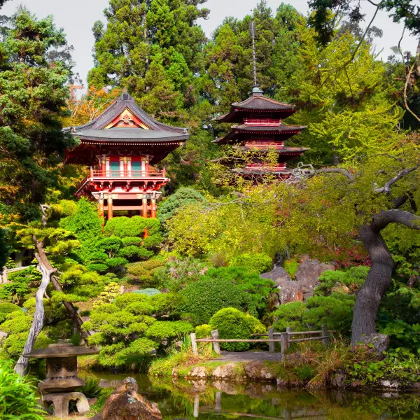 Serene Japanese tea garden with lush greenery, stepping stones, and a tranquil pond