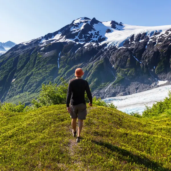 Pristine Wilderness of Kenai Fjords National Park