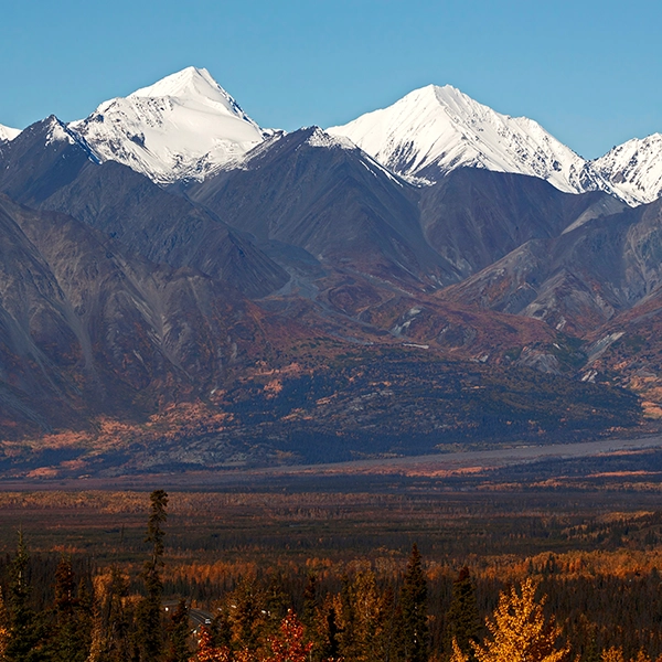 Scenic view of Kluane National Park with vibrant wildlife and breathtaking landscapes