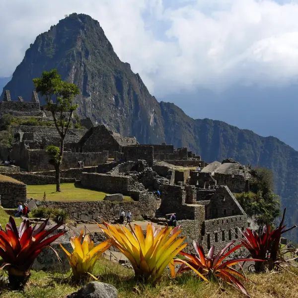 Machu Picchu ruins with vibrant flowers in the foreground and mountains in the background