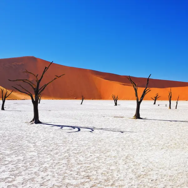Scenic landscape of Namibia with its vast desert, unique wildlife, and beautiful skies