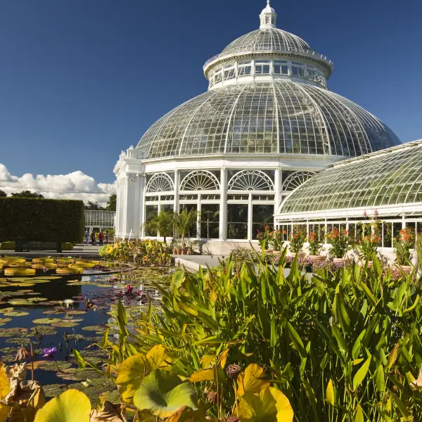 Stunning view of blooming flowers and lush greenery at the New York Botanical Garden
