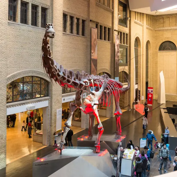 Interactive Exhibits at The Ontario Science Centre