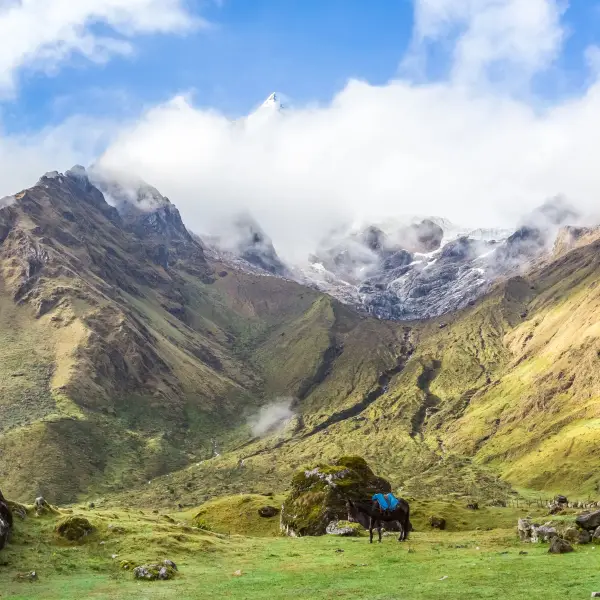 Majestic view of the Peruvian Andes with horses grazing
