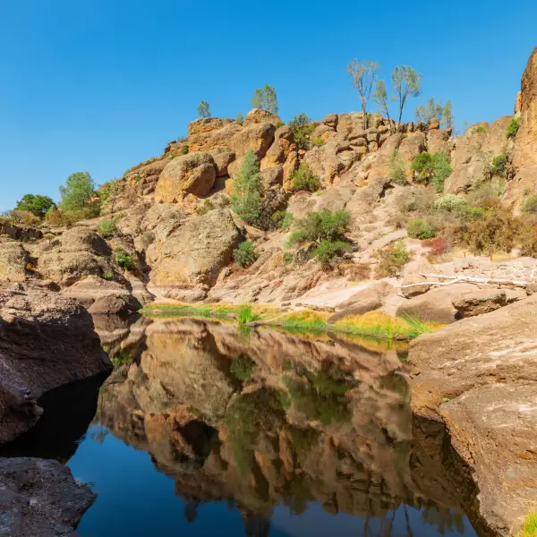 Unique Landscapes of Pinnacles National Park