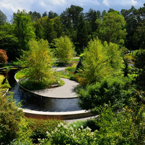 Exotic Plant Life at The Royal Botanic Gardens