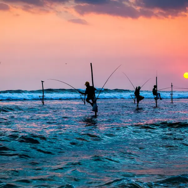 Beautiful landscape view of lush greenery in Sri Lanka