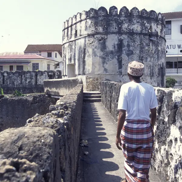 Scenic view of the historic Stone Town in Zanzibar