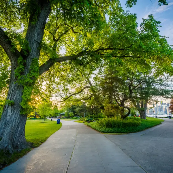 Leisurely Day at Toronto Islands