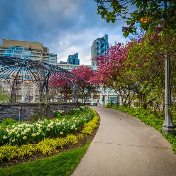 Tranquil Musical Rhythms at The Toronto Music Garden
